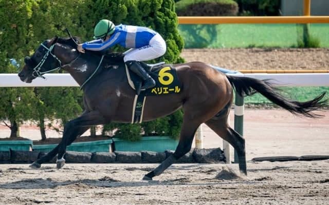 【大沼S結果】ペリエールが好位から抜け出し約2年ぶりのV