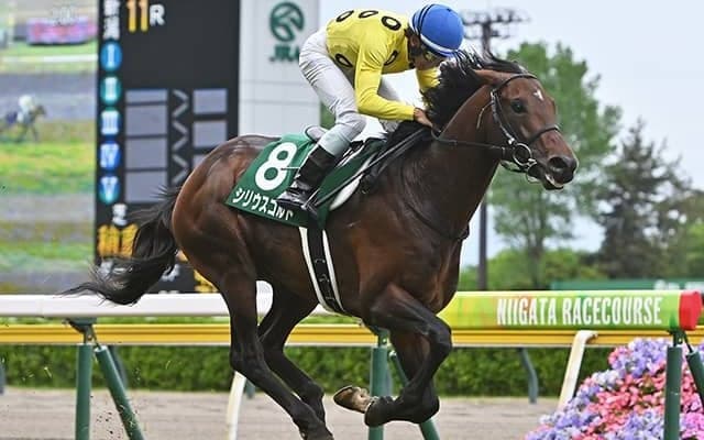 福島で伝統のハンデ重賞・七夕賞/今週の競馬界の見どころ