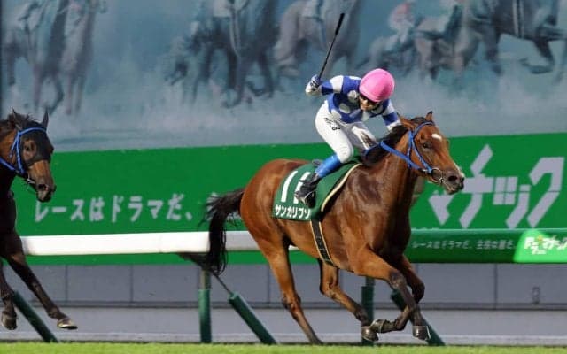 【盛岡・サファイア賞】8番人気サンカリプソが逃げ切りV！ 初芝で鮮やか重賞初制覇