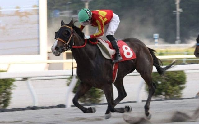 【高知・ヴェガ特別】ミニョンが力強く抜け出してV