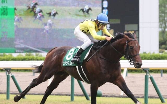 【七夕賞登録馬】シリウスコルトなど15頭