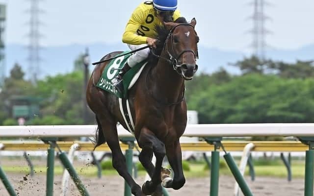 【七夕賞見どころ】シリウスコルトが重賞連勝を狙う