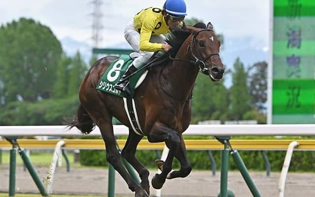 【七夕賞想定騎手】シリウスコルトは古川吉洋騎手、ドゥラドーレスは戸崎圭太騎手