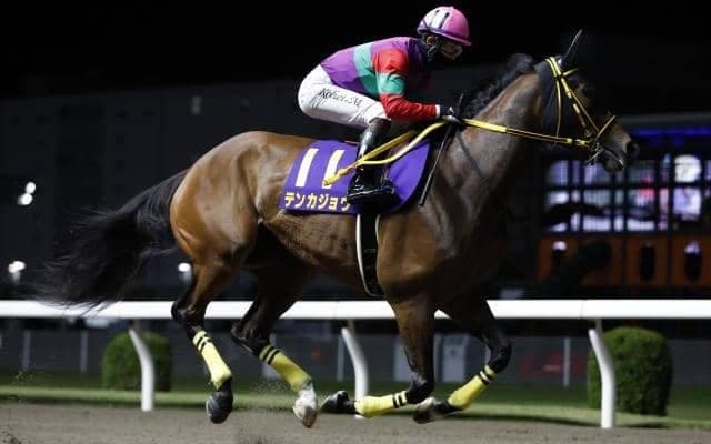 【川崎・スパーキングレディーC枠順】重賞連勝中のテンカジョウは8枠9番