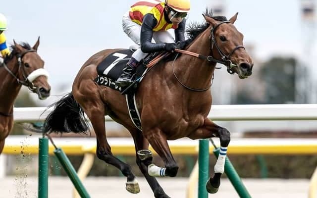 【AI予想・七夕賞】小回り福島の難解なハンデ戦！ バラエティに富んだ人工知能の本命候補とは