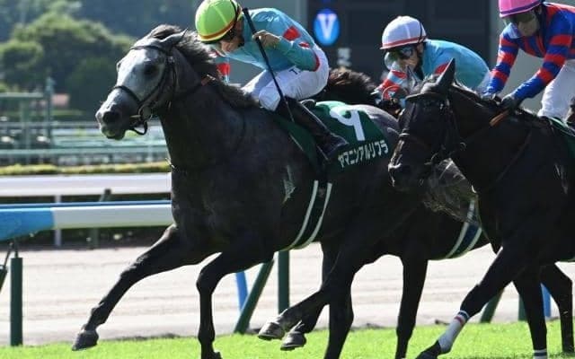 スプリント戦で強さをみせるヤマニンアルリフラ 背景には母から受け継いだスピード色の強い血