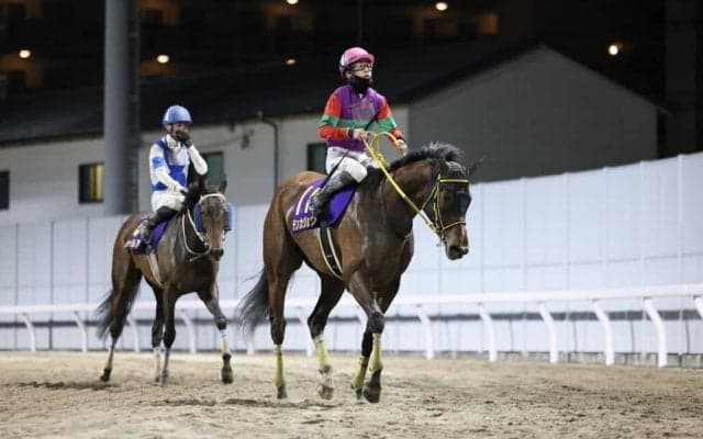【スパーキングレディーC】テンカジョウは8枠9番へ
