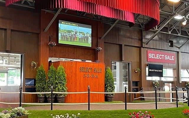 今年のセレクトセールにも注目が集まる 国内の“セリ”って何種類あるの？ 