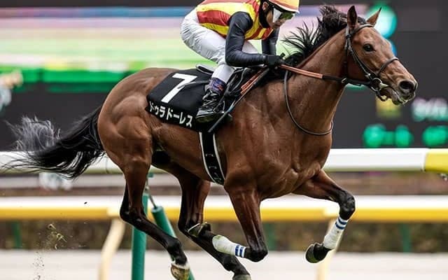 【七夕賞】戸崎圭太騎手が歴代単独トップの5勝目へ ドゥラドーレスを重賞初制覇に導くか