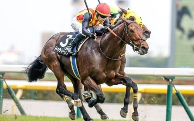 【七夕賞予想オッズ】ドゥラドーレスが予想1番人気