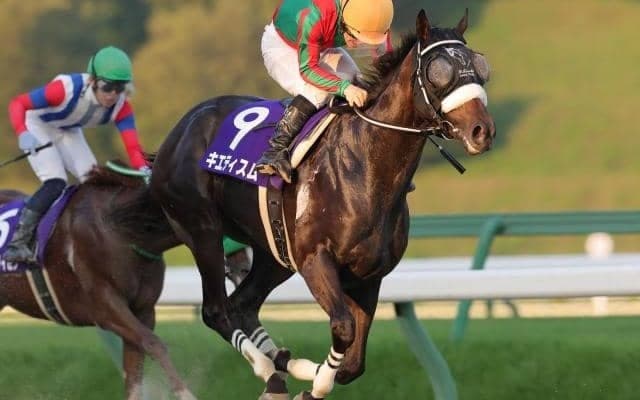 【盛岡・ハヤテスプリント結果】キエティスムが好位から押し切り重賞初制覇