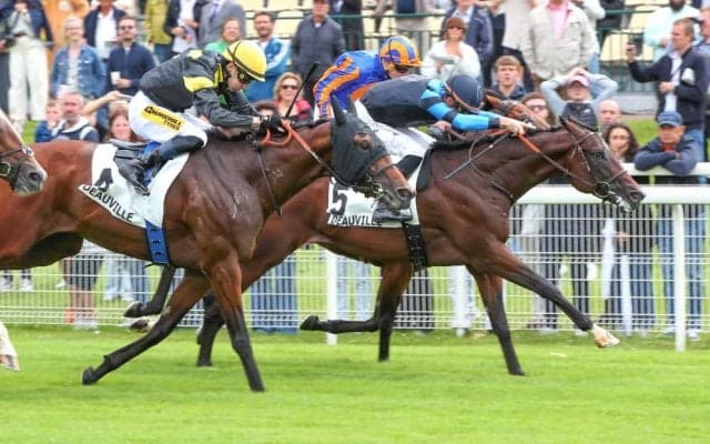 【仏ジャンプラ賞】グラファール師「一気に加速してくれた」ウッドショーナが直線一気の差し切りV