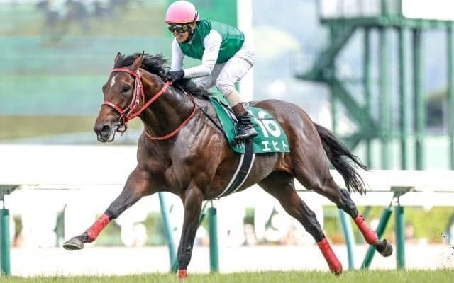 七夕賞の勝ち時計ランキング 1位は田中勝春騎手が伏兵で見せた完勝劇