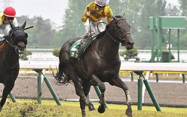 【小倉記念想定】カラテやエピファニーなど15頭