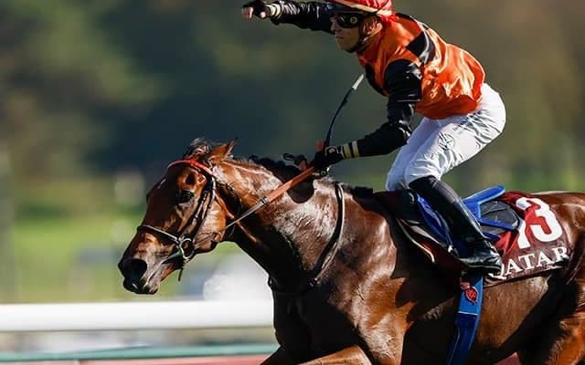 父に無敗の凱旋門賞馬やJpnI覇者など セレクトセールの“レア産駒”を紹介