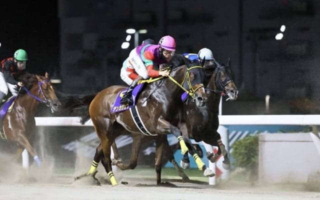 【スパーキングレディーC】松山「負けられないレースでした」テンカジョウは3着まで