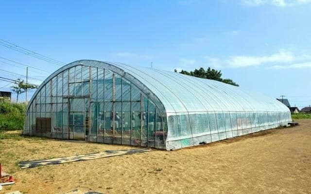 「ビニールハウスで暑さ慣れ」高校も　夏に涼しい地域、試合への工夫