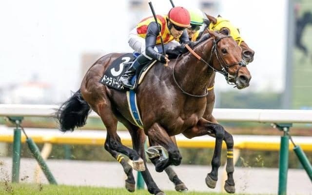 【七夕賞出走馬・騎手確定】ドゥラドーレス＆戸崎圭太騎手、シリウスコルト＆古川吉洋騎手など15頭