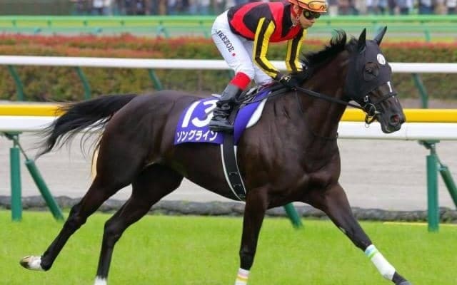 半姉はGI・3勝ソングライン ガードオブオナーが初陣Vなるか