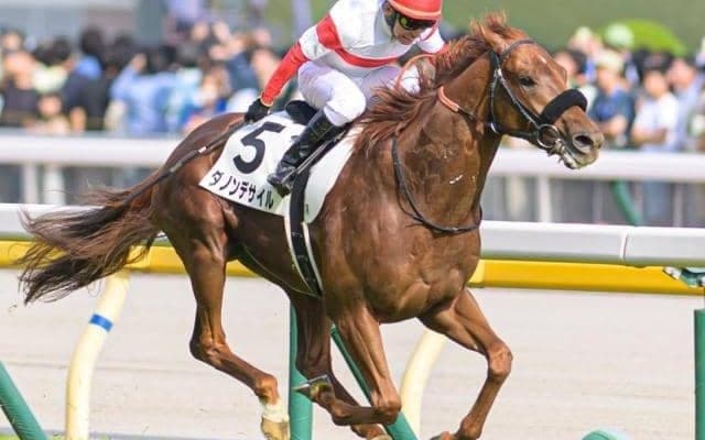 セレクトセール歴代購入価格歴代1位 ダノックスが落札した名馬たち