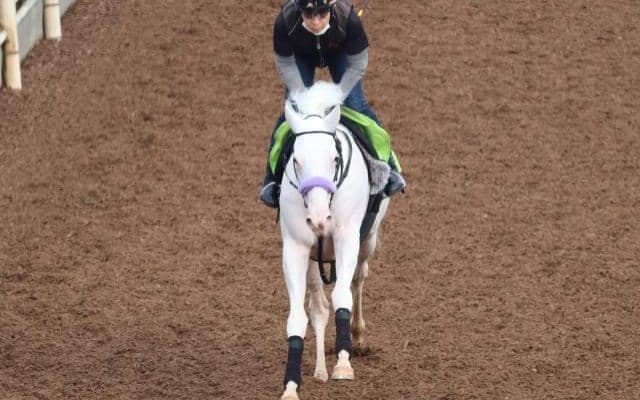 【JRA新馬戦】ソダシの半妹マルガ、チェルヴィニアの半弟チェルヴァーラなどがデビュー