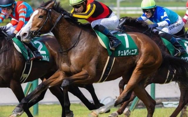 半姉はGI・2勝のチェルヴィニア チェルヴァーラがデビュー勝ち狙う