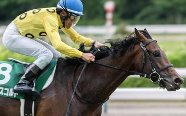 【七夕賞枠順確定】シリウスコルトは5枠8番、ドゥラドーレスは8枠15番