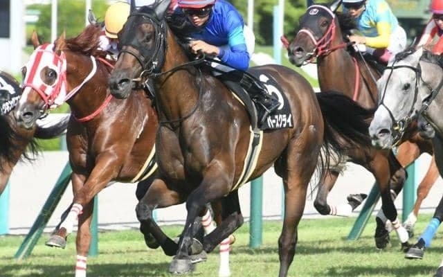 【今日の注目ポイント】芝のOP・安達太良Sと新馬ではソダシの半妹マルガがデビュー