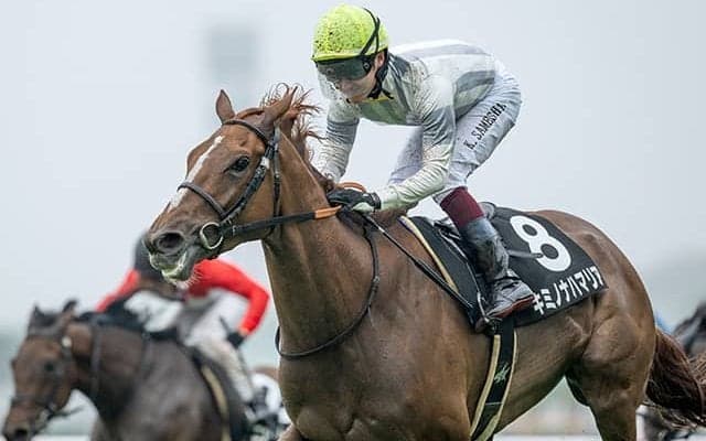 【五稜郭S】明確に差し有利の戦い ディープインパクト系は伏兵でも要注意