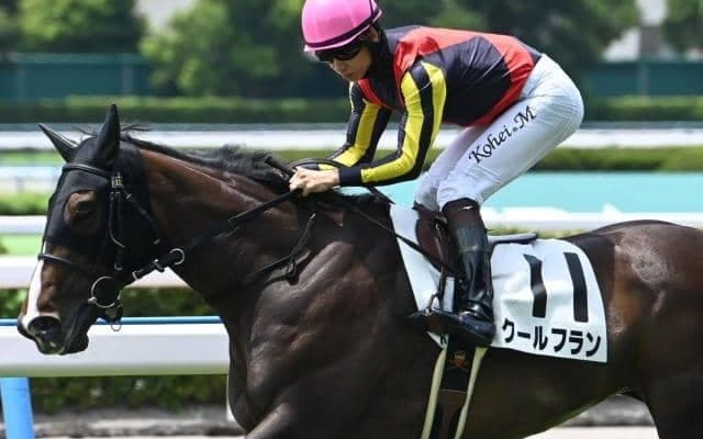 【小倉5R新馬戦結果】フランケル産駒クールフランが人気に応えて逃げ切りV