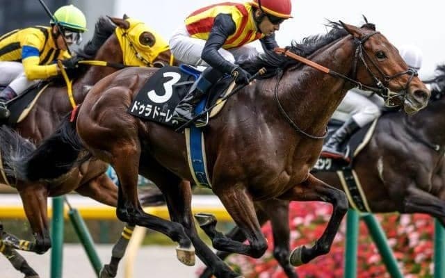 【七夕賞予想】福島替わりで持ち味生かせず!? ハンデも見込まれた印象で軽視したい人気馬とは