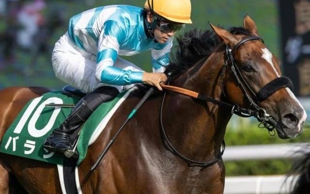 福島の芝中距離は末脚重視 バラジの差し切り期待