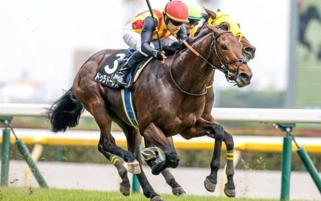 【七夕賞前日オッズ】ドゥラドーレスが3.3倍で1番人気