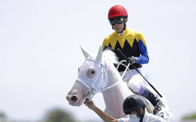 【新馬/函館5R】白毛馬マルガが武豊を背に完勝…ソダシの半妹