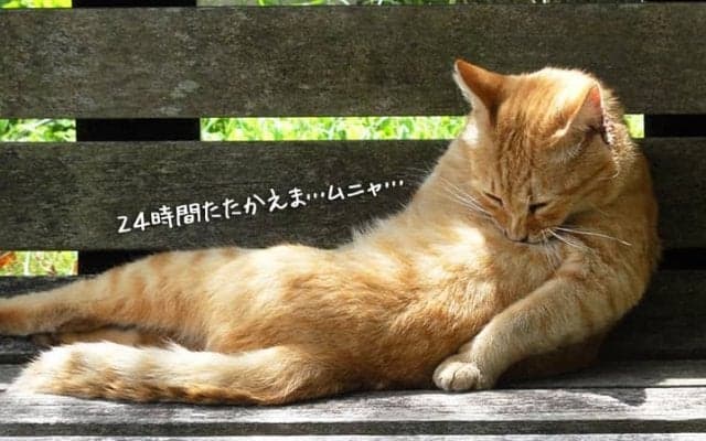 昭和の働き方がトンデモに思えてきた今日この頃・・・