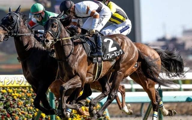 【AI予想・七夕賞】人工知能は波乱の可能性を示唆!? 能力は上位人気馬と遜色なく配当妙味たっぷりな本命候補