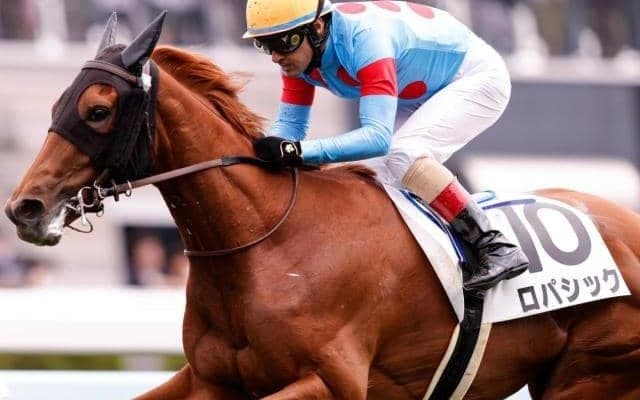 半兄は有馬記念覇者ブラストワンピース ロパシックが約1年ぶりの復帰戦Vなるか