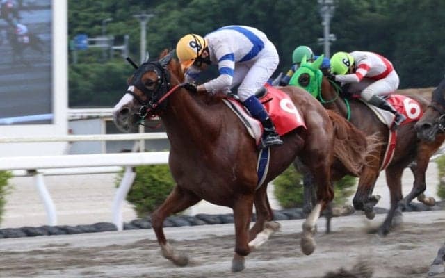 【高知・魚梁瀬杉特別】ザセンチュリーが高知転入後連勝！赤岡修次騎乗で初の準重賞制覇