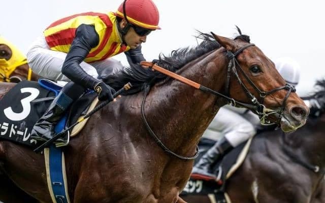 【今日の注目ポイント】七夕賞でドゥラドーレスが重賞初制覇を狙う