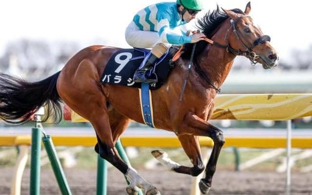 【七夕賞予想】福島の名物重賞は難解 1番人気は過去10年で1勝のみ