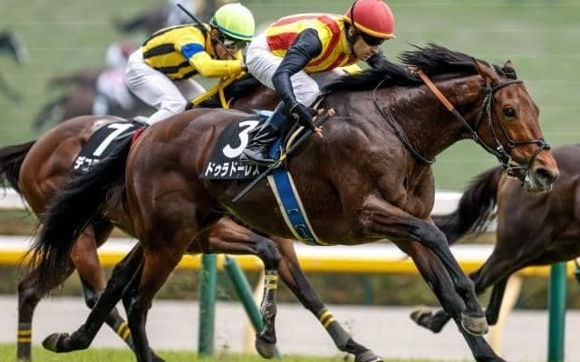 【七夕賞予想】荒れるハンデ戦も激走馬に共通点あり!? 過去データから探るGIII七夕賞