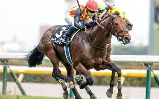 【七夕賞・馬体重】ドゥラドーレスは500kg(-2)、コスモフリーゲンは502kg(±0)