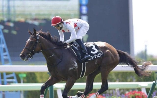 【北海ハンデキャップ】良血ミッキージュエリーが3連勝