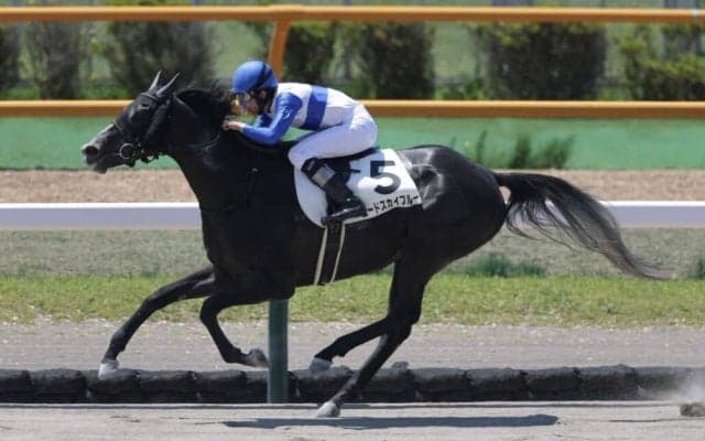 【函館4R】ウインブライト産駒 ロードスカイブルーが7馬身差圧勝