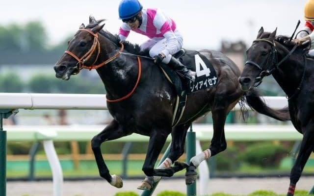 【巴賞結果】ケイアイセナが押し切りオープン初勝利