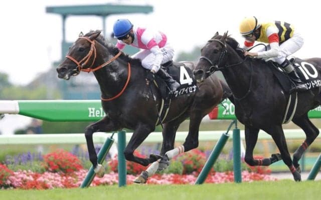 【巴賞】ディープ産駒 ケイアイセナがオープン初勝利