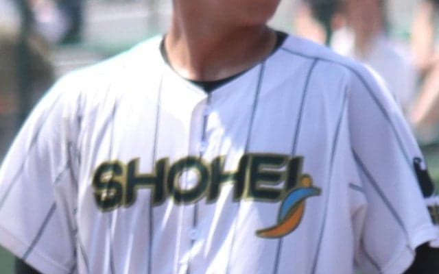 ノーシードの昌平がコールド発進！埼玉大会【25年夏高校野球】







