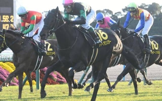 開催最終日に小倉記念と函館2歳S/今週の競馬界の見どころ