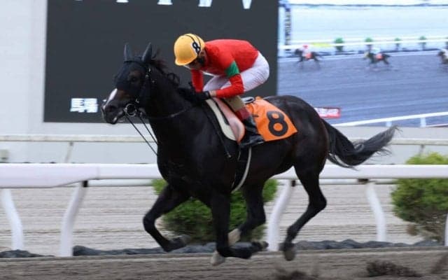 【高知競馬】永森大智騎手が地方通算2500勝達成