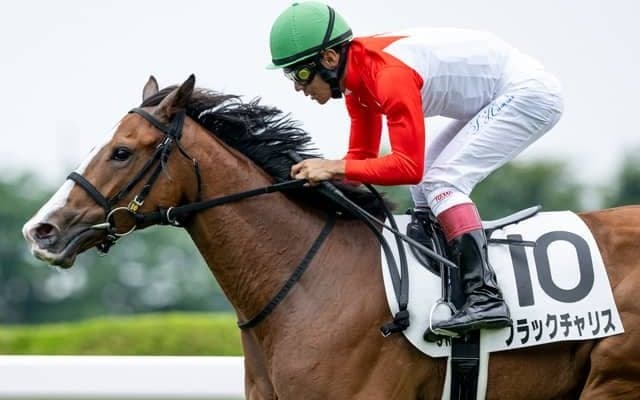 【函館2歳S見どころ】ポテンシャル高いブラックチャリス